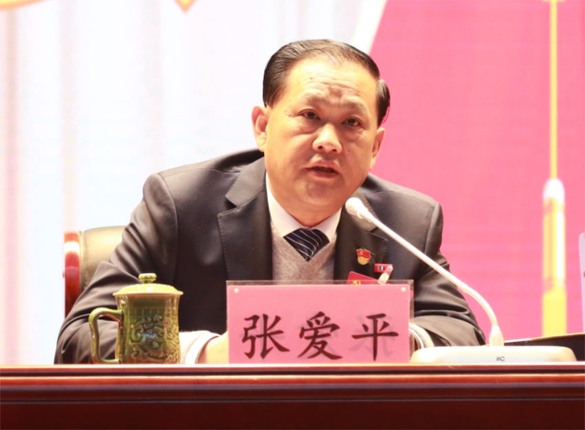 张爱平同志宣读中共乐动手机网页版登录入口第一届党委成员分工及纪委成员分工